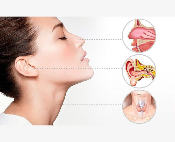 ENT Specialist (Ear,Nose & Throat)