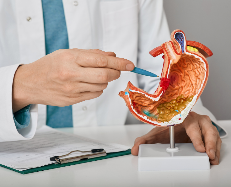 Gastroenterologist